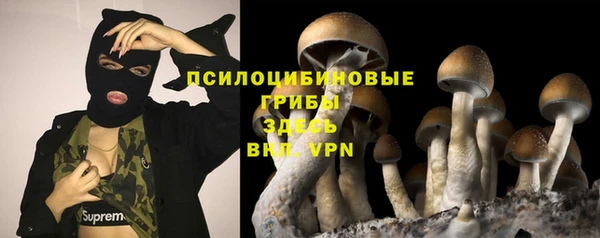 шишки Кулебаки