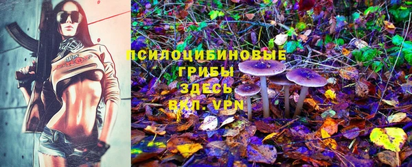 кокс Кукмор