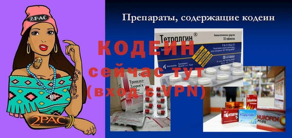 шишки Кулебаки