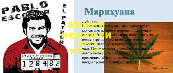 шишки Кулебаки