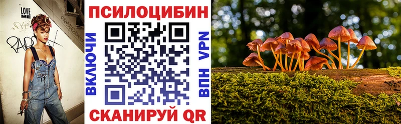 Купить закладки Лиски Галлюциногенные грибы Psilocybe